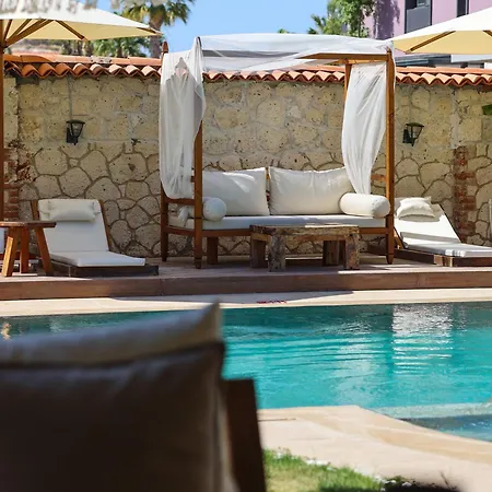 Bed & Breakfast Naya Port *