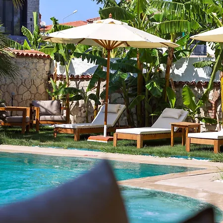 Naya Port Bed & Breakfast